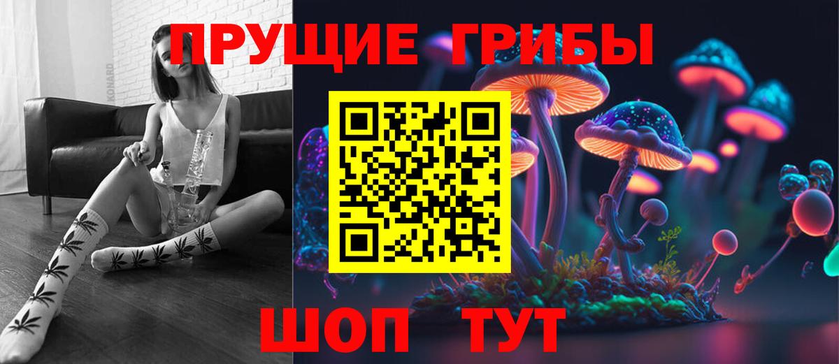 Псилоцибиновые грибы Psilocybe Севастополь